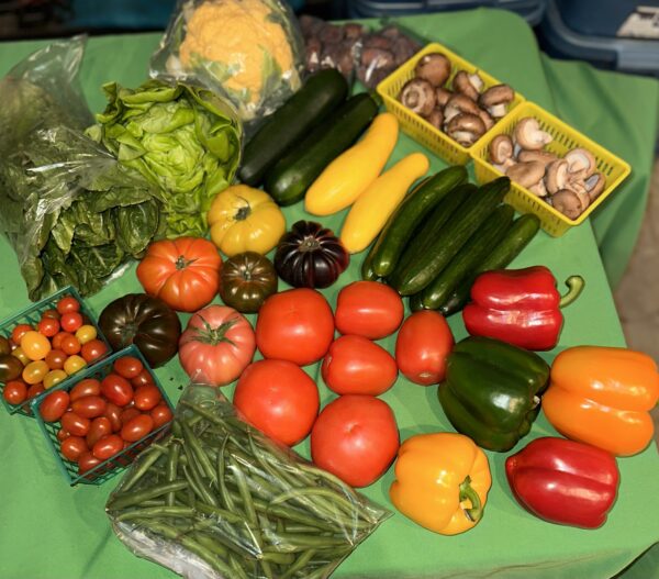 Variety of Vegetables